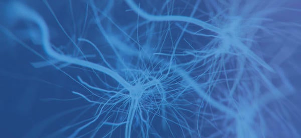 synapses (c) istockphoto