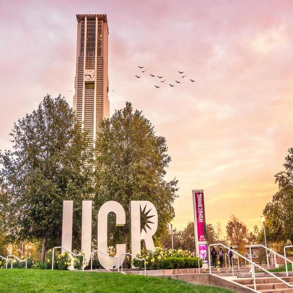 UCR