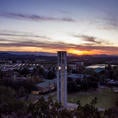 ucr night life